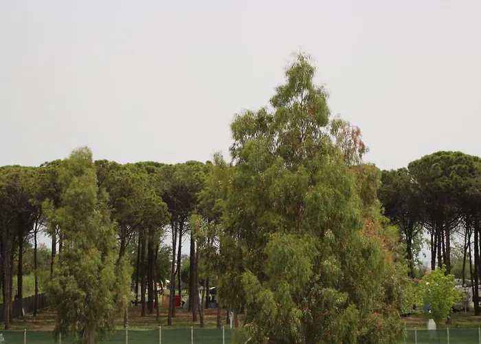 Frühstückspension Levante