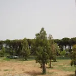 Levante 4* Marina di Schiavonea