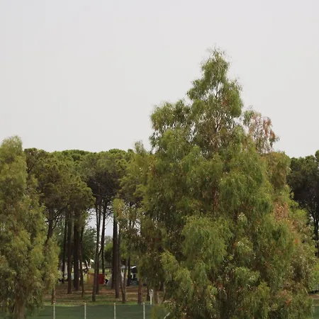 Bed and breakfast Levante
