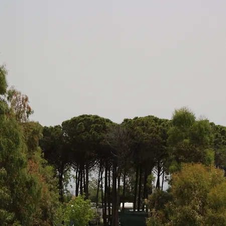 Levante לינה וארוחת בוקר 4*